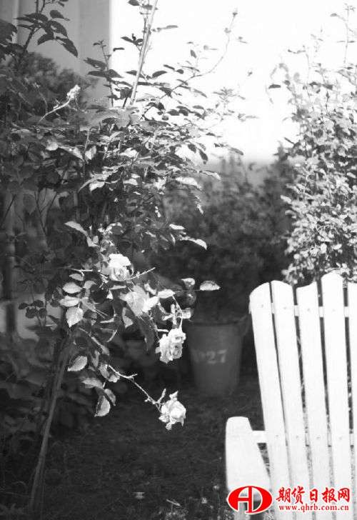 秋天要做的事情