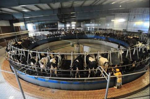 蒙牛乳業(yè)方面表示，通過交易，將進(jìn)一步提升現(xiàn)代牧業(yè)的表現(xiàn)并推動其戰(zhàn)略發(fā)展，使之與蒙牛乳業(yè)的未來發(fā)展計劃一致；同時，為蒙牛乳業(yè)低溫乳制品生產(chǎn)的增長提供強(qiáng)勁支持，強(qiáng)化蒙牛乳業(yè)于低溫乳制品領(lǐng)域的領(lǐng)先市場地位。