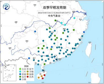 后厄尔尼诺时代：大米你要上天了吗？