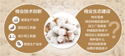 目標價格改革三年后 棉花市場變好了嗎？