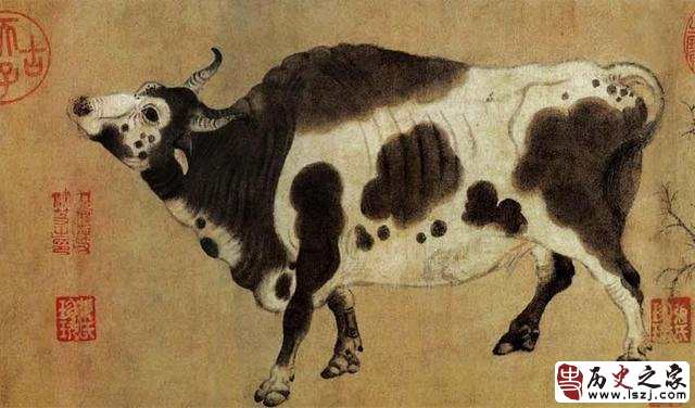 大唐那位相术大师光看地上牛蹄印就能知道公牛母牛？