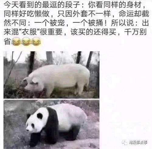 俗話說(shuō)“五窮六絕七翻身”原來(lái)TMD是說(shuō)陰歷！