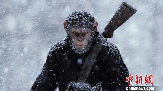 《猩球崛起3》中国11城提前观影1440个特效占全片95%