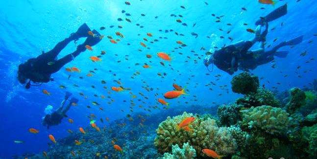 1505638944137923.jpg 54.jpg