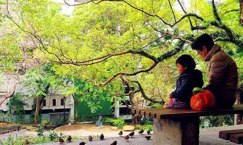 10月 是不是港股割韭菜的機(jī)會(huì)？