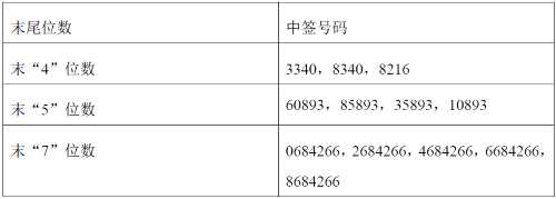 丽岛新材网上发行中签号出炉 共46998个 