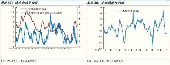 國(guó)金策略:消費(fèi)電子與石油石化等板塊景氣度趨向分化