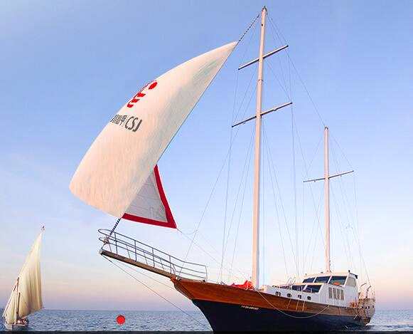 新三板估值低？看看市值接近用友超金蝶的川山甲