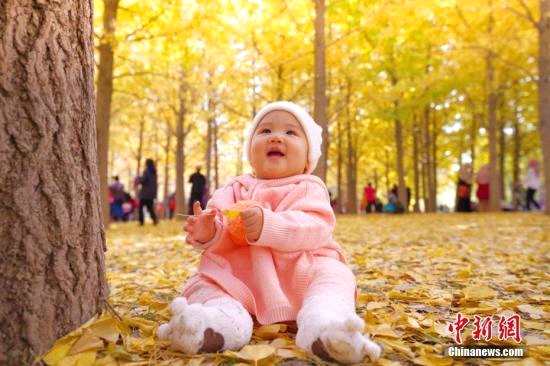 资料图：一位婴儿坐在公园树下玩耍。中新社记者 贾天勇 摄