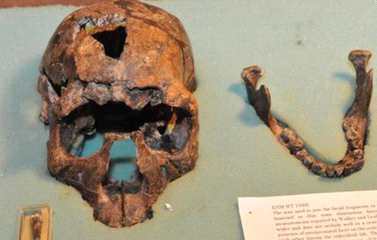 中国古人类头骨或改写人类起源：也可能来自亚洲