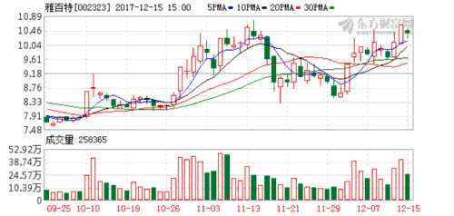 业务报表模板_业务收入报表(2)