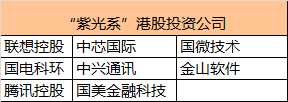 董事长赵伟国被外界称为“并购狂人”，他曾公开表示，未来要做3000亿元产业投资和并购基金，芯片业务总产值进入世界前三，成为世界级的芯片巨头。今年3月，国开行及国家集成电路产业投资基金1500亿元投融资支持紫光。