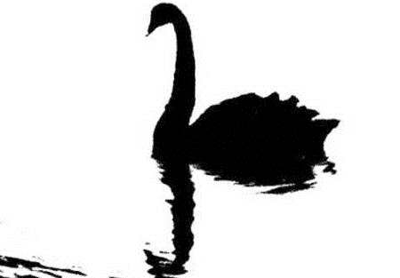 盤點(diǎn)2017年新三板黑天鵝事件：明星公司隕落 IPO生變 