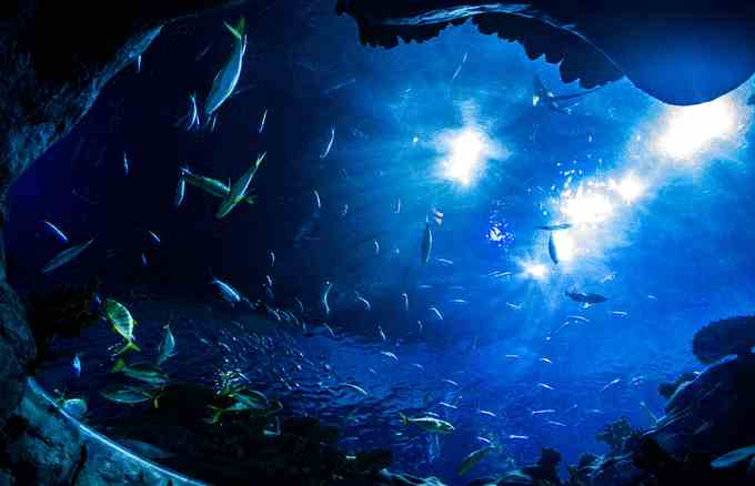 喜迎美股暴跌，大A上證上漲。畢竟內(nèi)地A現(xiàn)在越來(lái)越不喜歡跟西方市場(chǎng)同步。