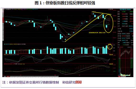 和信投顧：強(qiáng)勁反彈后品種分化將展開 