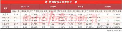 宏川智慧：債臺高筑甩同行 毛利率走勢詭異 
