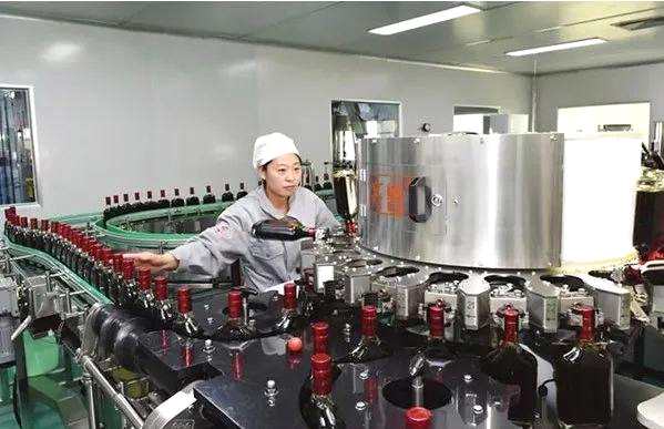 ▲鴻茅藥酒流水生產(chǎn)線。圖/烏蘭察布日?qǐng)?bào)