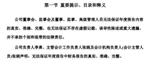 我可能看了份假年報(bào) 高管稱無(wú)法保證內(nèi)容真實(shí)