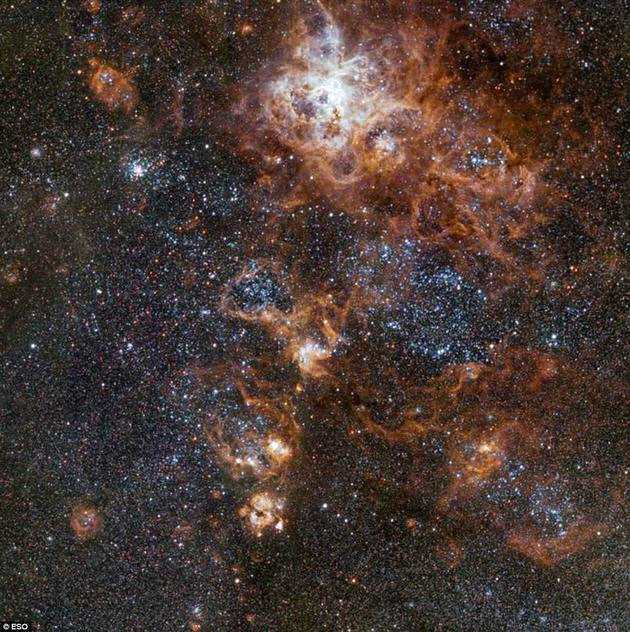 蜘蛛星云又称剑鱼座30（30 Doradus），是本星系群（Local Group，包括银河系在内的一群星系）中最明亮、最活跃的恒星形成区域