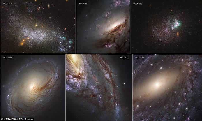 6幅图像展示出该星团附近不同恒星形成的过程。