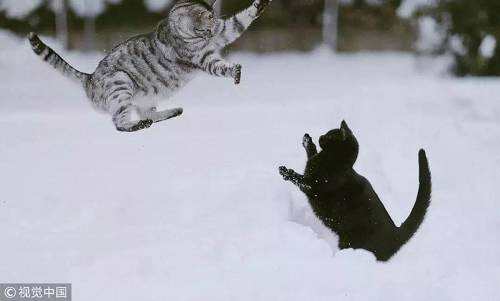 小米憑什么上市(下）？