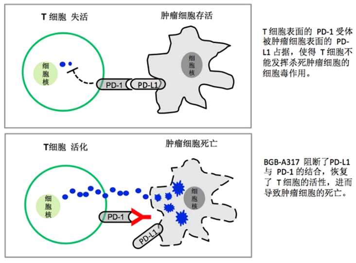 資料來源：公開數(shù)據(jù)，華盛證券