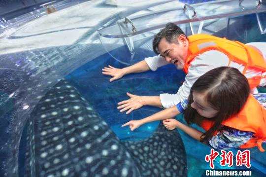 图片作者：陆绍龙。图片说明：两位主创明星坐上全透明玻璃船深入探秘鲸鲨馆的深海世界