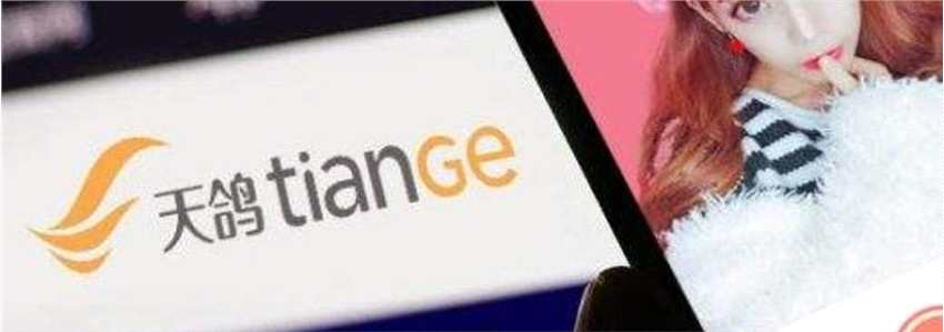 天鴿互動(dòng)第二季度純利增246% 月活突破6千萬