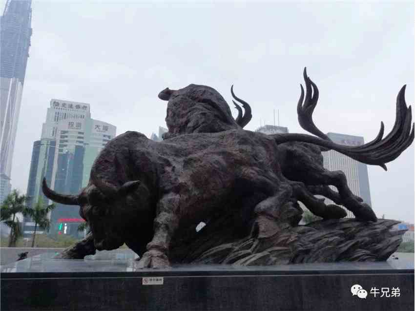 牛3.webp.jpg