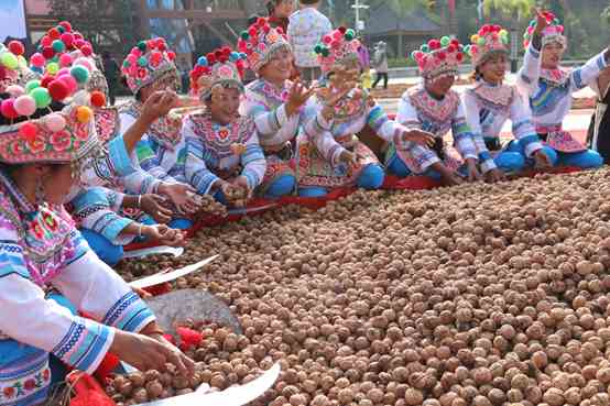 云南大理州漾濞縣300噸待售核桃雙十一期間迅速通過拼多多銷售一空。