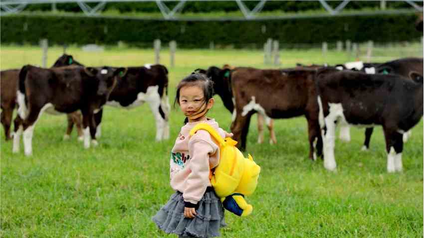 伊利金领冠“渗透式”IP整合营销斩获金蜜蜂金奖！