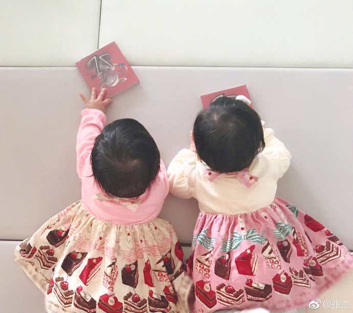 张杰晒双胞胎女儿 张杰谢娜双胞胎女儿照片曝光长得像谁呢？