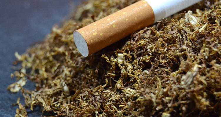 （圖片來源：視覺中國）