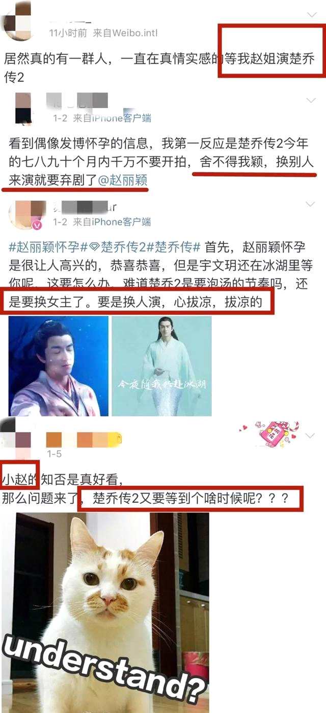 楚乔传2被曝剧本已过审！赵丽颖刚宣布怀孕 还会出演吗？