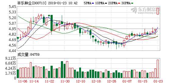 乡村振兴概念震荡走高 芭田股份丰乐种业涨停