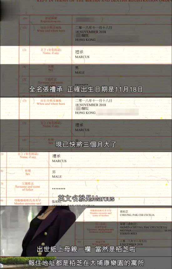 再次曝光张柏芝三胎儿子没有父亲 港媒被网友痛斥无底线