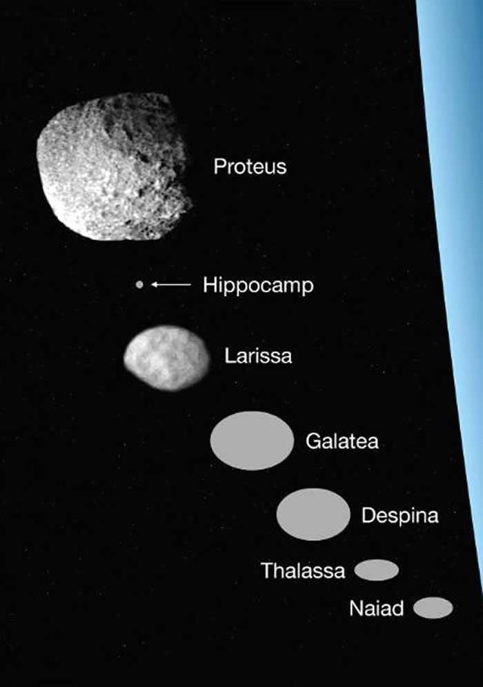 海王星最小卫星"马头鱼尾怪"是海卫八被