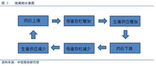 83ea562377634d00aa583b49f28d8c54.png