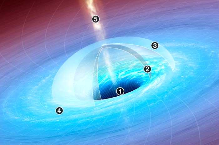 超大质量黑洞的质量可能达到太阳的数十亿倍，而它们的起源至今仍是未解之谜。 JASON TREAT AND ALEXANDER STEGMAIER, NGM ST