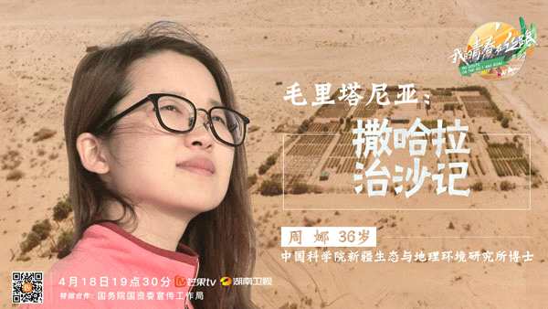 芒果TV《我的青春在丝路》中国女博士情牵撒哈拉，参建非洲首条“绿色长城”