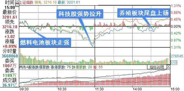 上证综指分时走势图