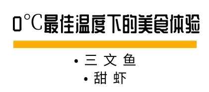 彭于晏“新宠”曝光！陪伴他深夜拍戏的竟然是… 