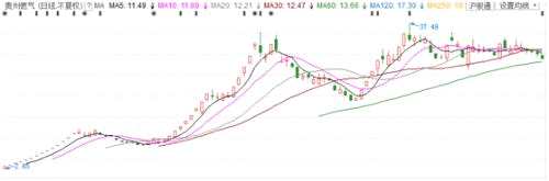 它，會不會是第二只“貴州燃氣”？