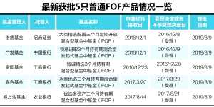 时隔一年半 普通公募FOF产品审批重启