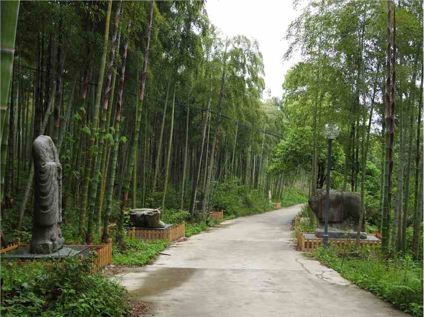 图片 4