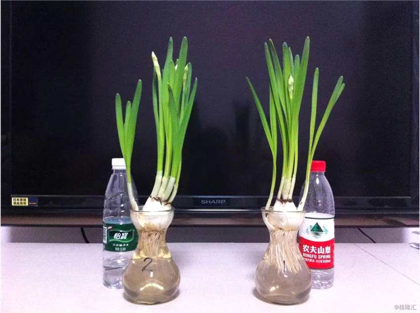 在這一波“不做純凈水”的營銷大戰(zhàn)中，農(nóng)夫山泉與所有做純凈水的品牌都杠上了，也改寫了后來的瓶裝水市場格局。在此之前，瓶裝水就是純凈水，沒有什么分別，在此之后，瓶裝水分為蒸餾水、純凈水、天然水。