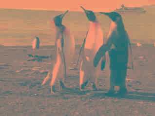 QQ小程序被微信暫停服務(wù)，騰訊：我瘋起來連自己都打！