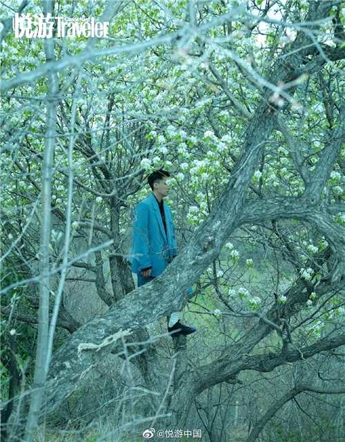 他在丛中笑!李易峰登杂志封面 化身森系男生