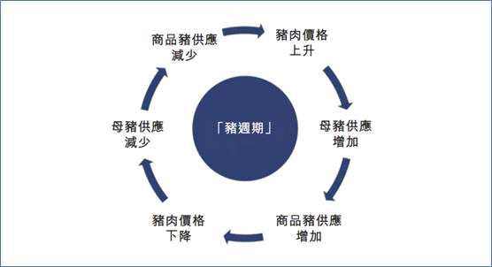 豬周期盛宴下，港股迎來(lái)純正的生豬養(yǎng)殖標(biāo)的天兆豬業(yè)