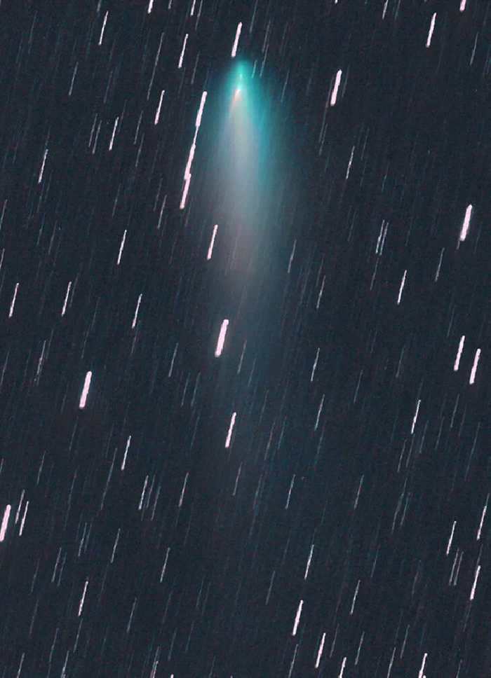图片显示的是一颗白色小型彗星，其有自己独特的尾巴，位于主彗星较大的绿色彗发中。